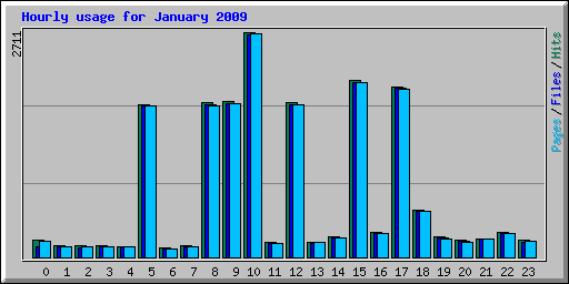 Hourly usage for January 2009